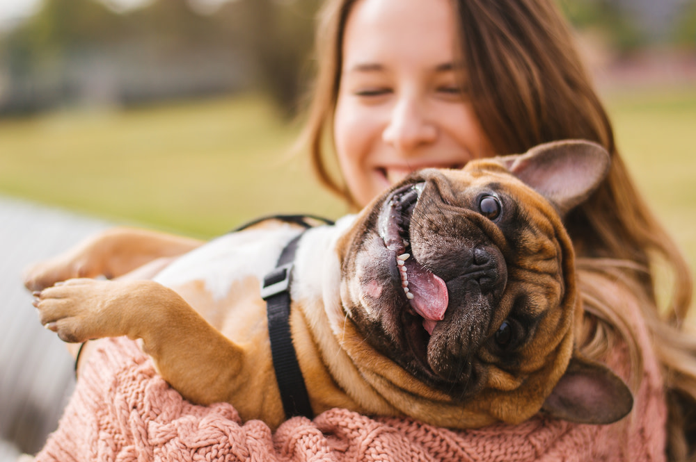 CBD Calming Dog Treats: Uses, Benefits, and More 5 Happy dog using CBD treats