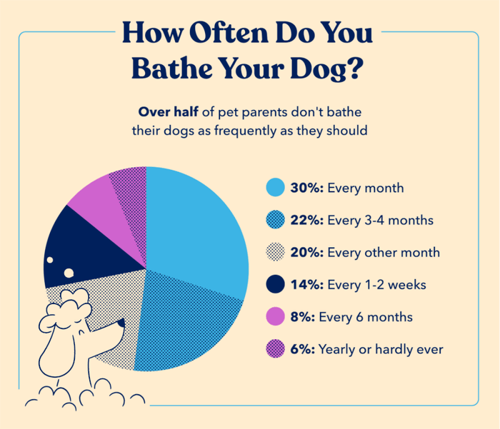 56 of Pet Parents Don't Bathe Their Dogs as Frequently As They Should