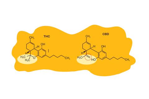 CO2 Extraction: A Look at the Process 4 CO2 Extraction