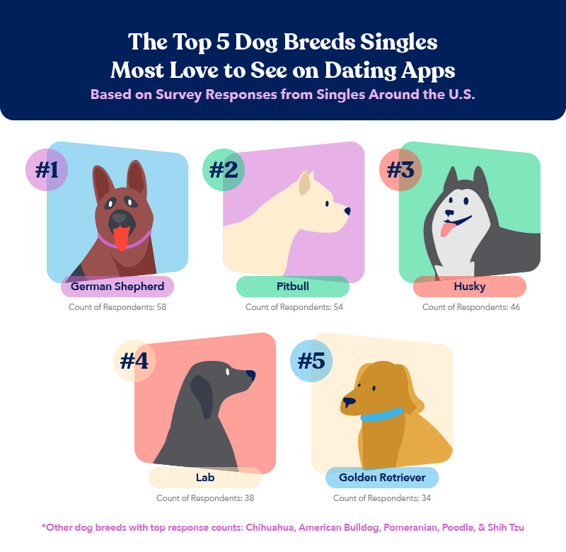 most popular dog breeds according to singles on dating apps
