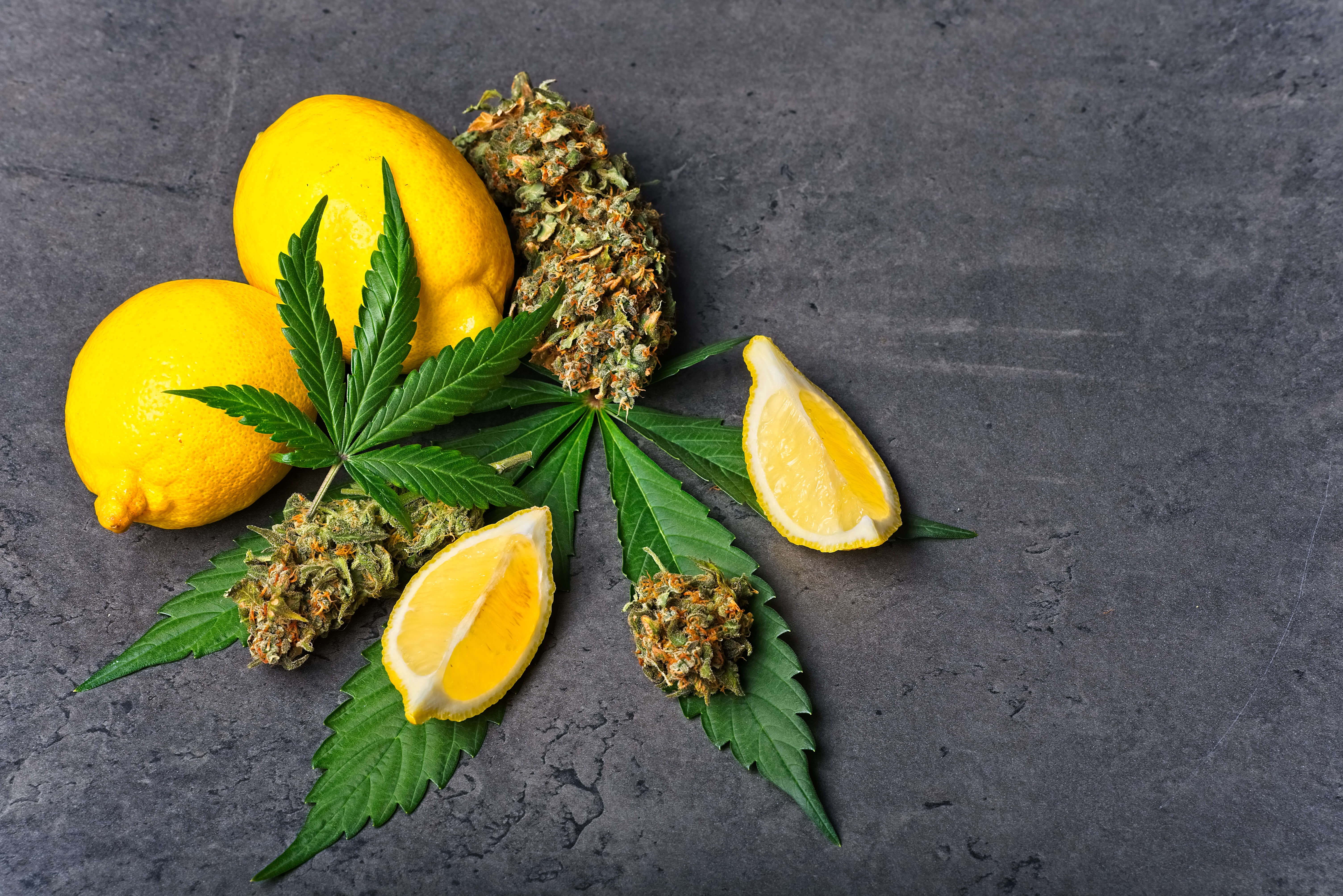 Terpenes: A Comprehensive Guide 3 Cannabis terpenes, lemons, and hemp plant leaves on a table.