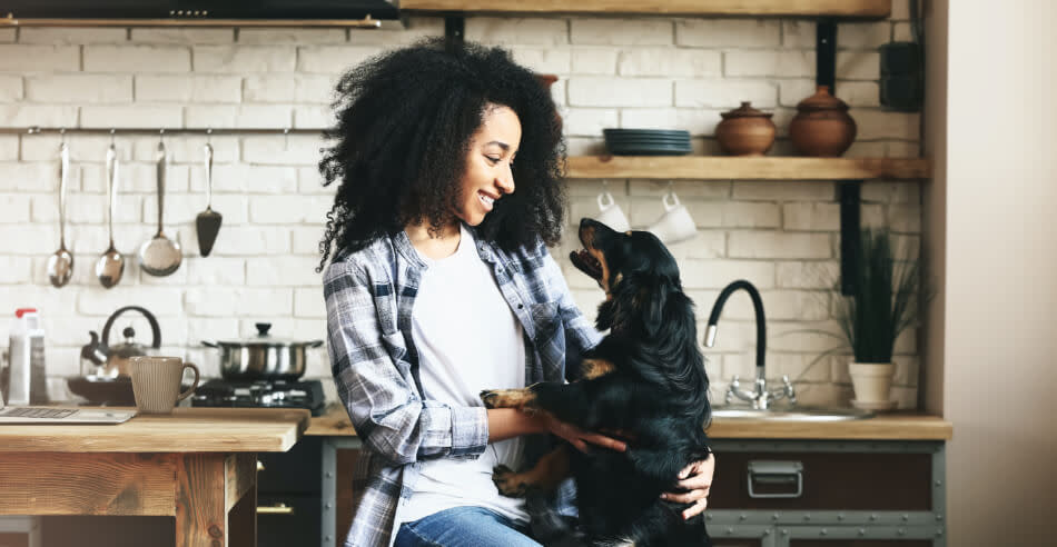 Broad Spectrum Hemp: A Tell All Guide 4 Happy Dog Owner