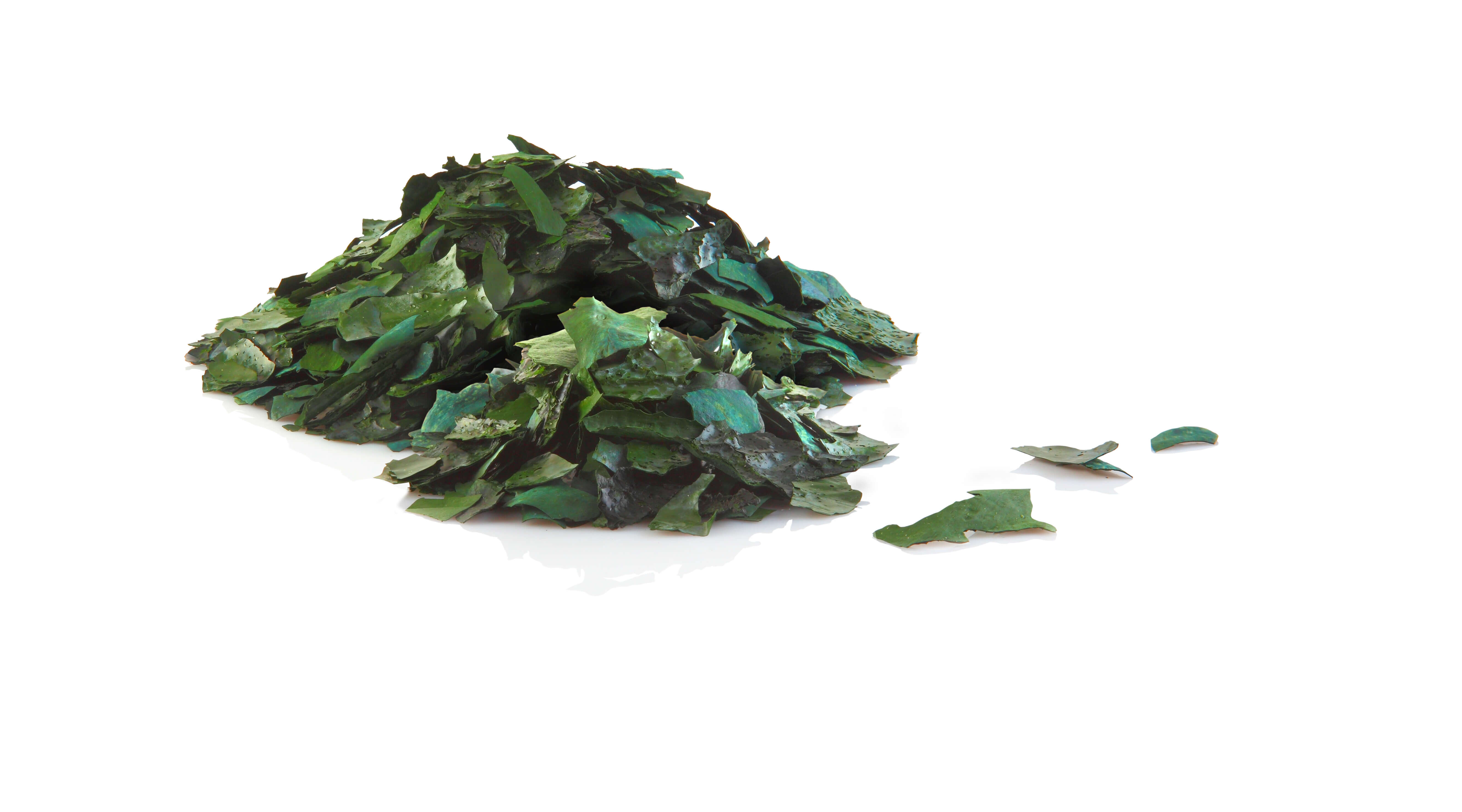 Natural Anti-Inflammatory Agents: Our Top 12 Choices for Dogs 4 spirulina