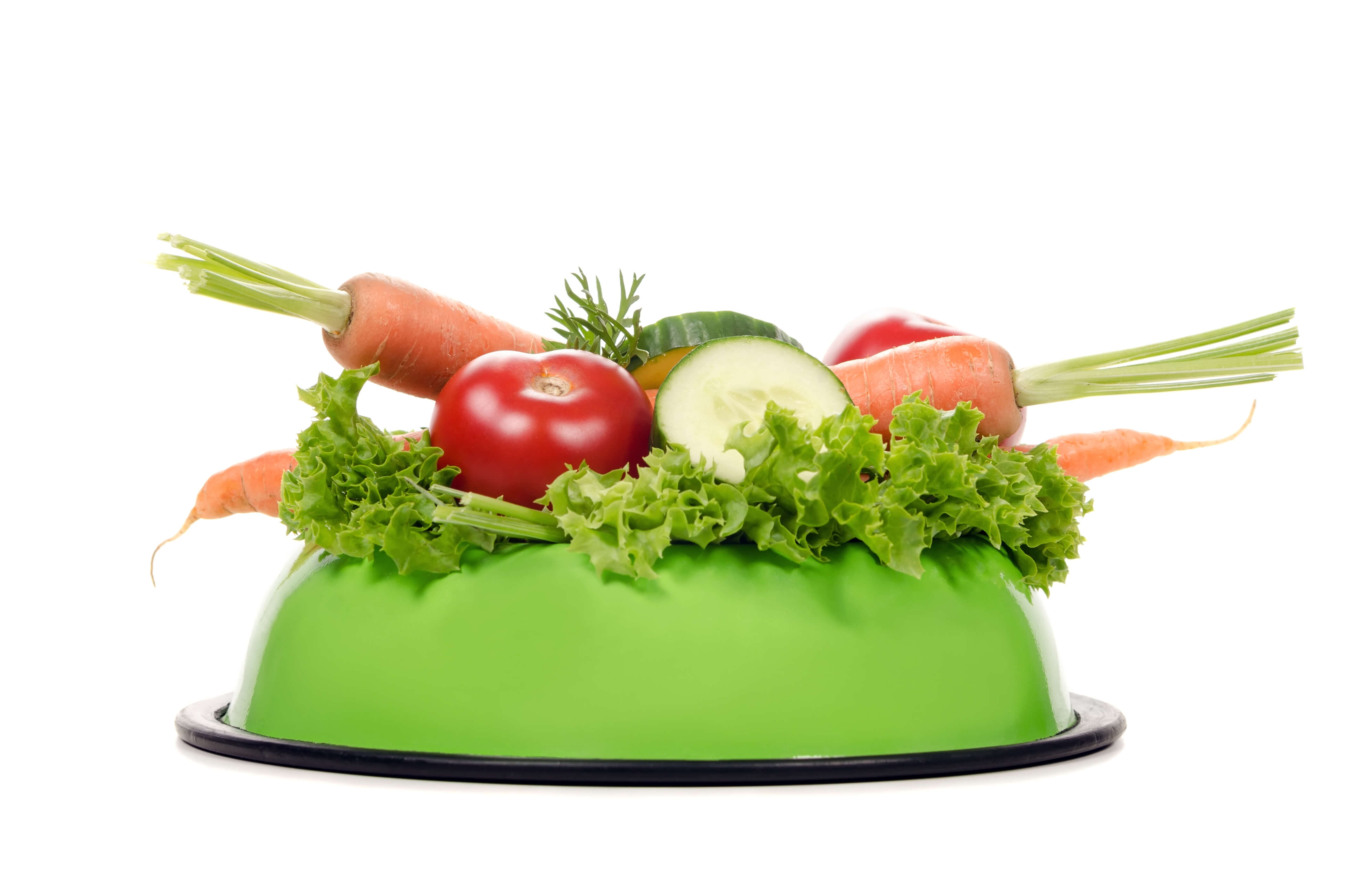 Vegan Dog Food: Everything You Want to Know 2 healthy vegan dog food