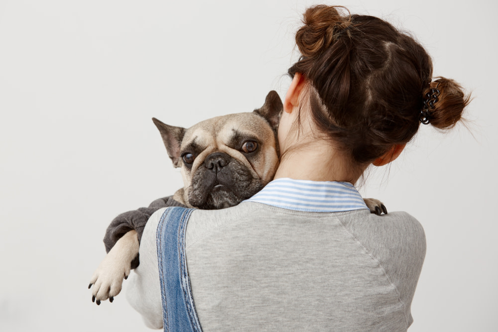 Holistic Cancer Treatment for Dogs 1 Most Common Types of Cancer in Dogs