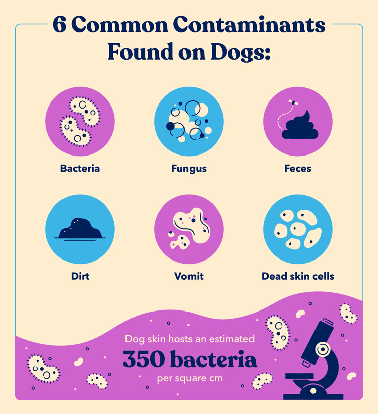 common-contaminants