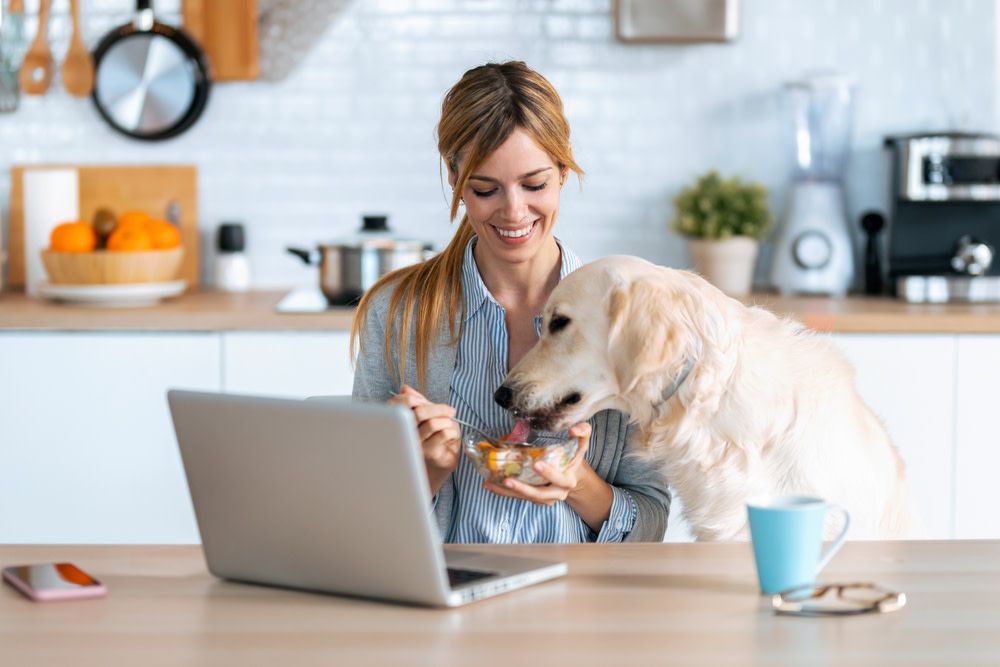 Yogurt For Dogs: Is it Safe for Your Canine Companion? 2 Yogurt For Dogs
