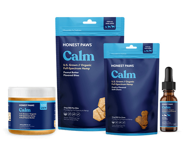 Dogs and Fireworks: A Recipe for Disaster 4 Calm Line