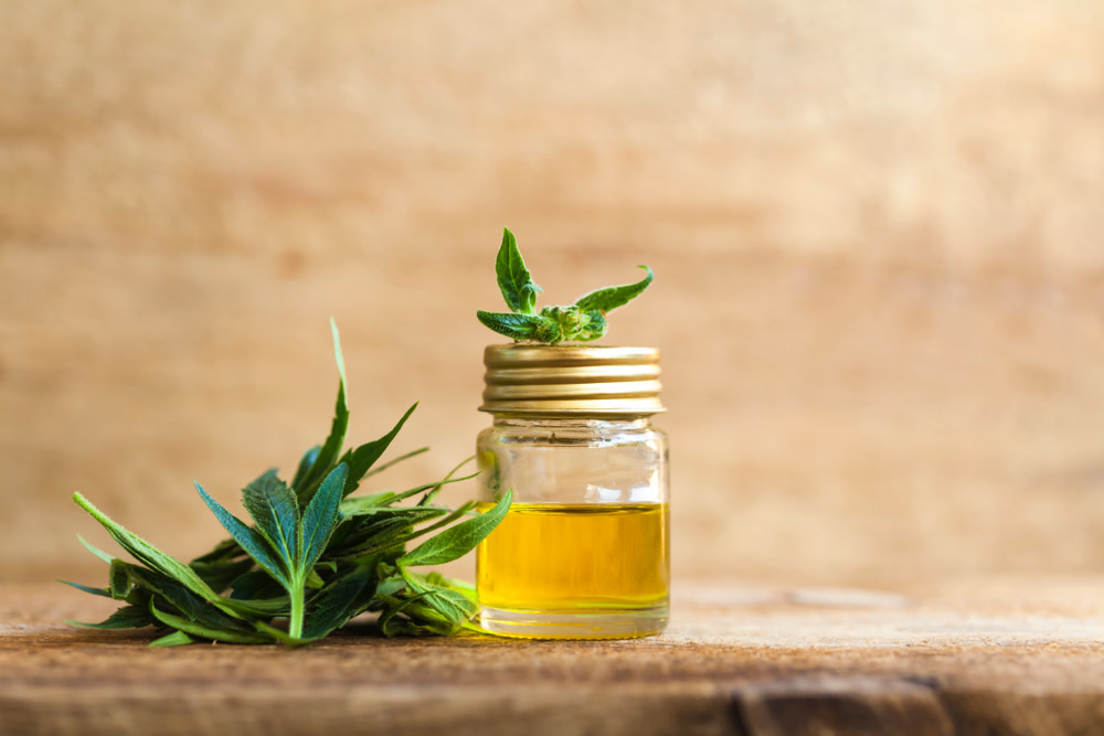 CBD Dog Treats For Pain: Benefits and Uses 3 quality cbd oil for dogs