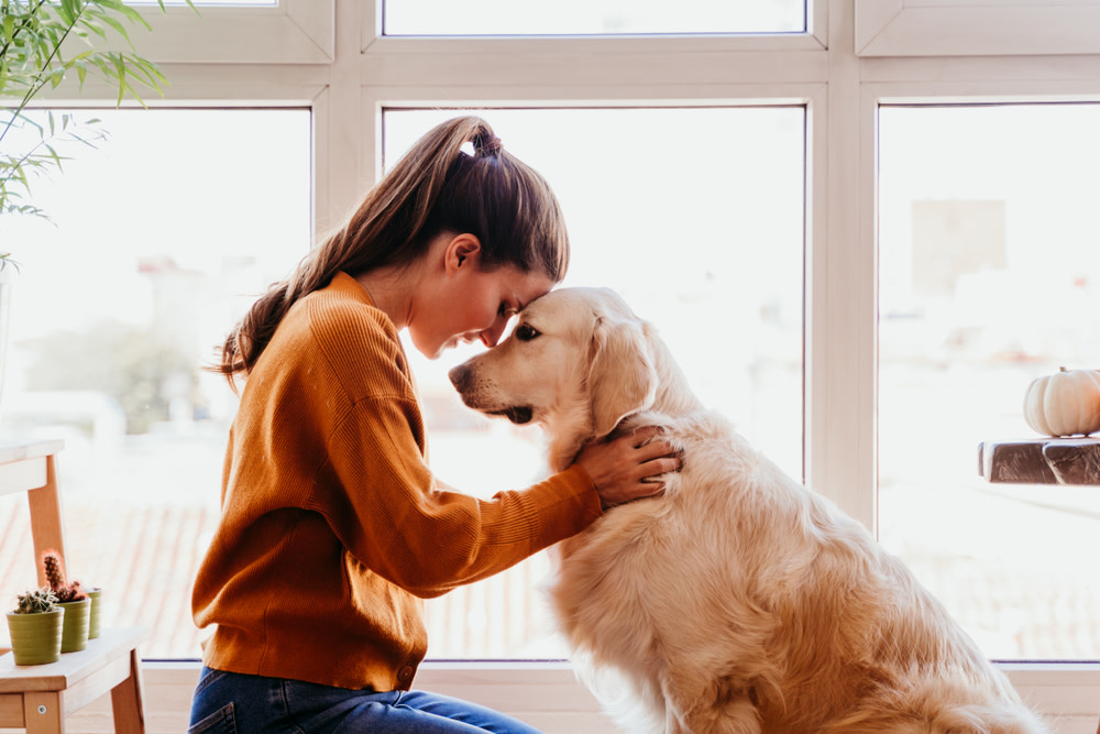 Turkey Tail Mushroom Vs. CBD Mobility Chews: Natural Joint Support for Dogs 5 Turkey Tail Mushroom and Mobility Chews