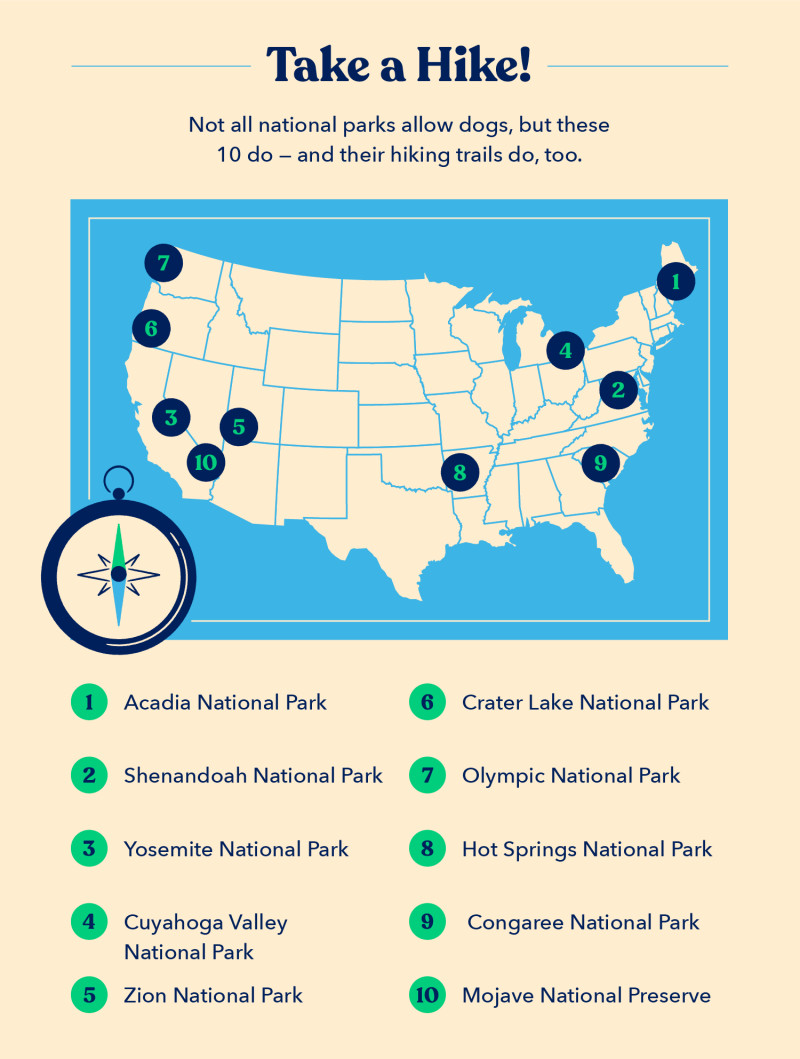 a map pinpoints 10 dog-friendly national parks with dog-friendly hiking trails, including Acadia National Park, Yosemite National Park, and Zion National Park