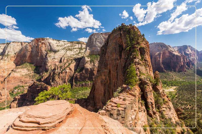 a large pink sandstone cliff in Zion National Park, a dog-friendly national park where one can go hiking with dogs