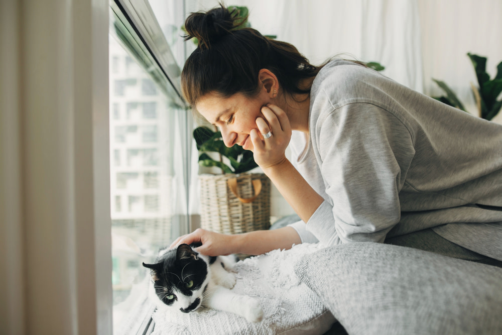 How CBD Oil for Cats With Kidney Disease can Help 5 cat looking out window with owner