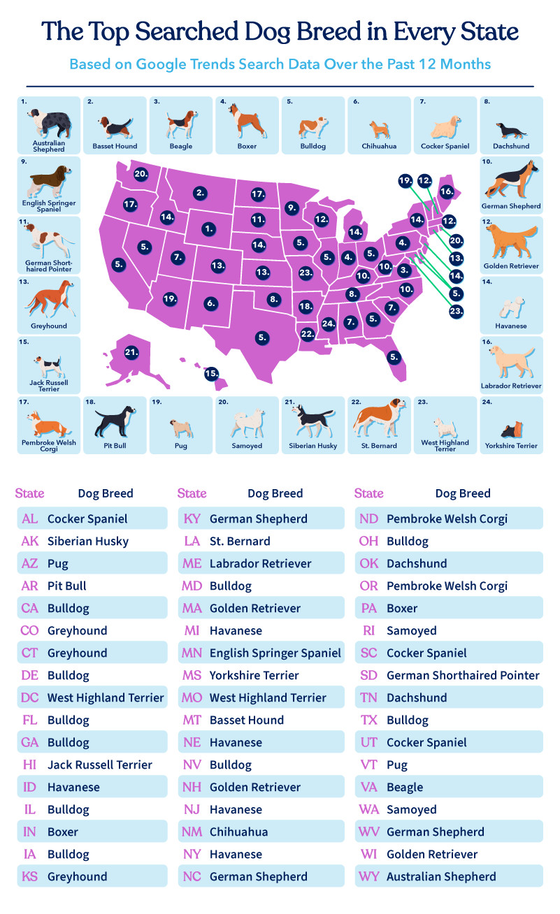 Top Searched Dog Breeds by State