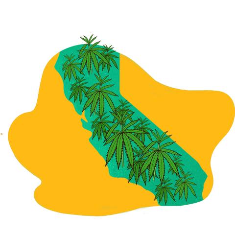 Is CBD Oil Legal? The Status of CBD in Every State 3 Is CBD Oil Legal