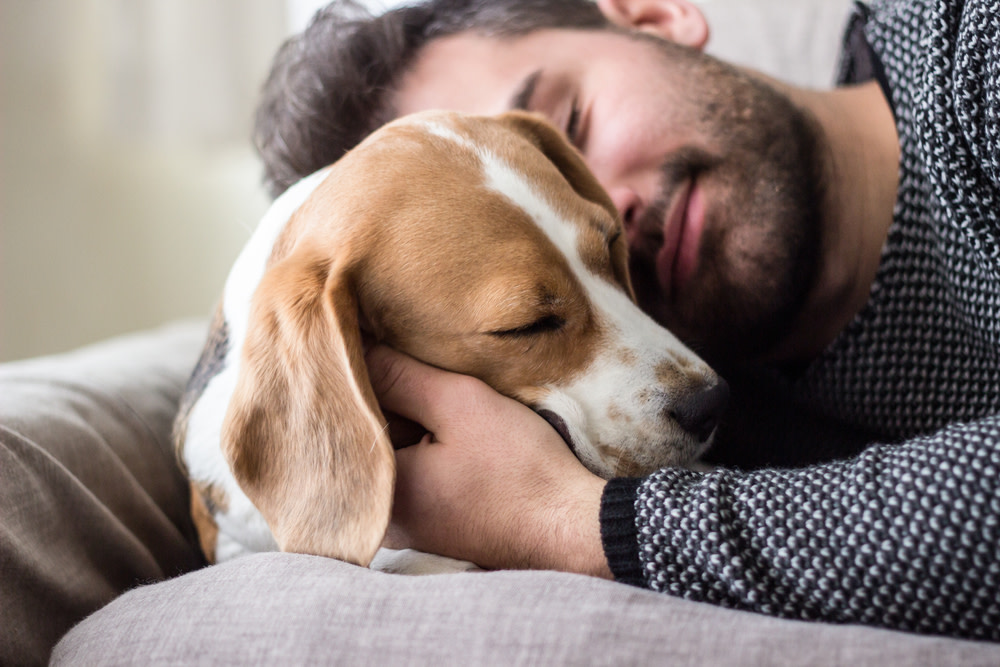How To Know If You’re Dealing With A Dog UTI And What To Do About It 1 dog uti