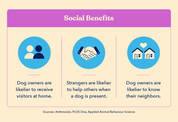 three icons indicate social benefits of having a dog, including that dog owners are likelier to know their neighbors and receive visitors at home