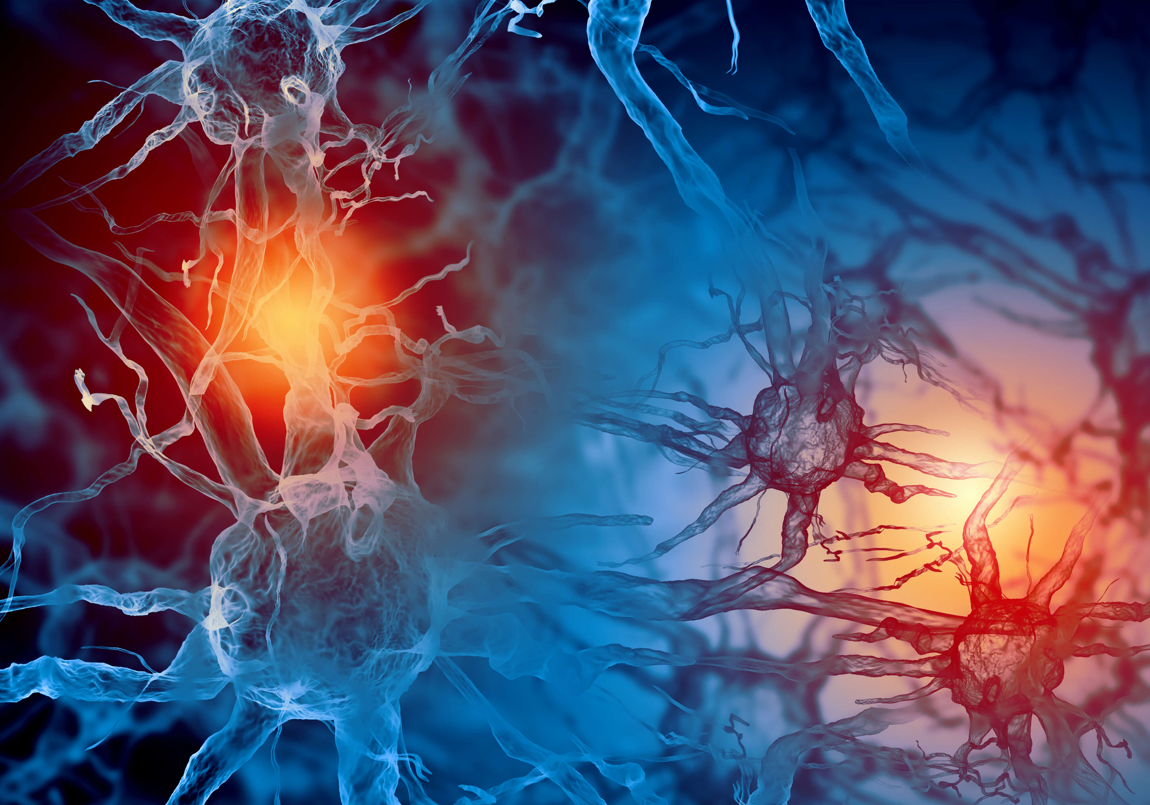 The Endocannabinoid System and CBD: Promoting Homeostasis in Pets 1 Blue picture of neural receptors and transmitters in the brain to represent the endocannabinoid system.