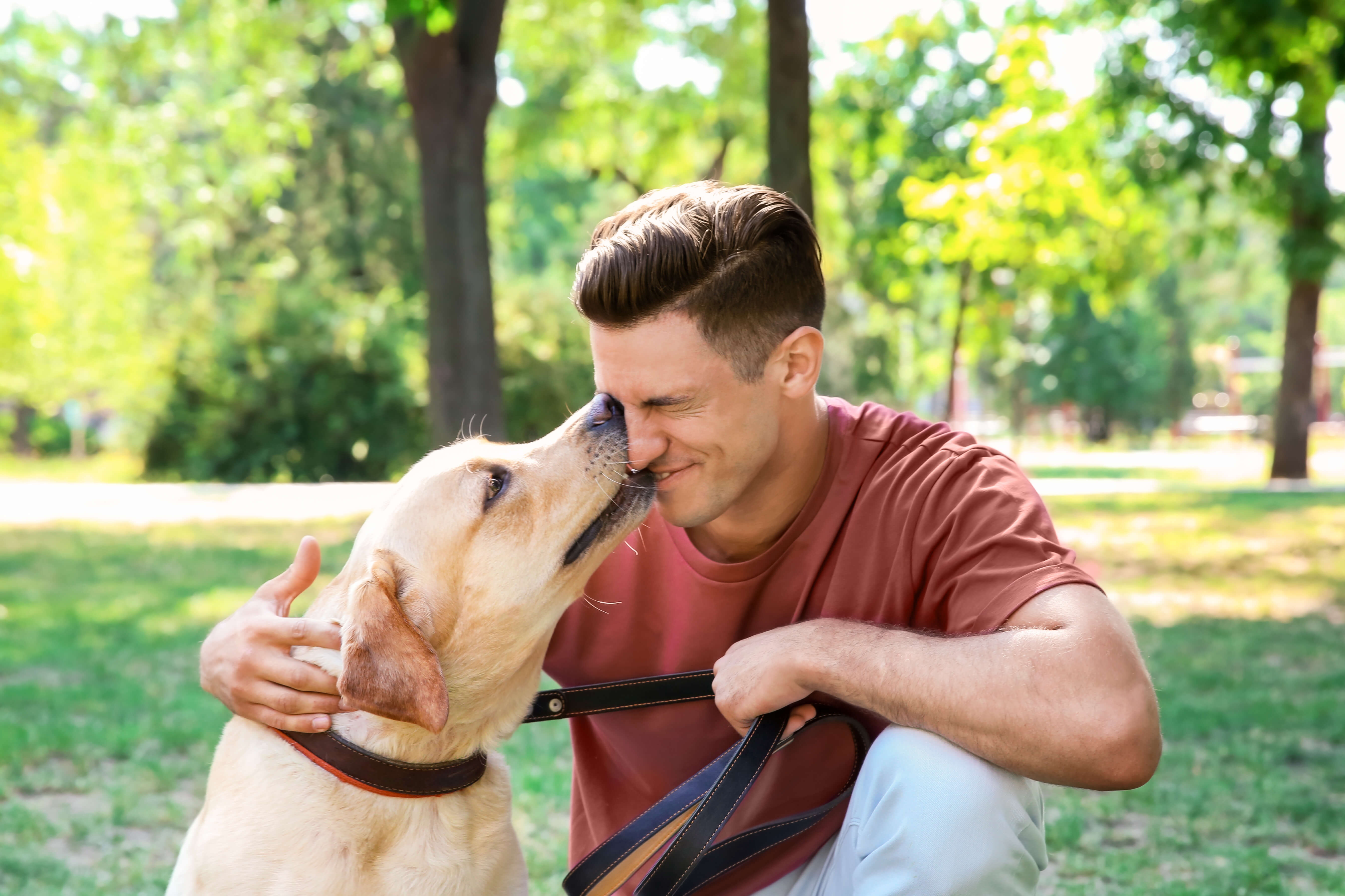Dogs and Fireworks: A Recipe for Disaster 5 dog licking owner