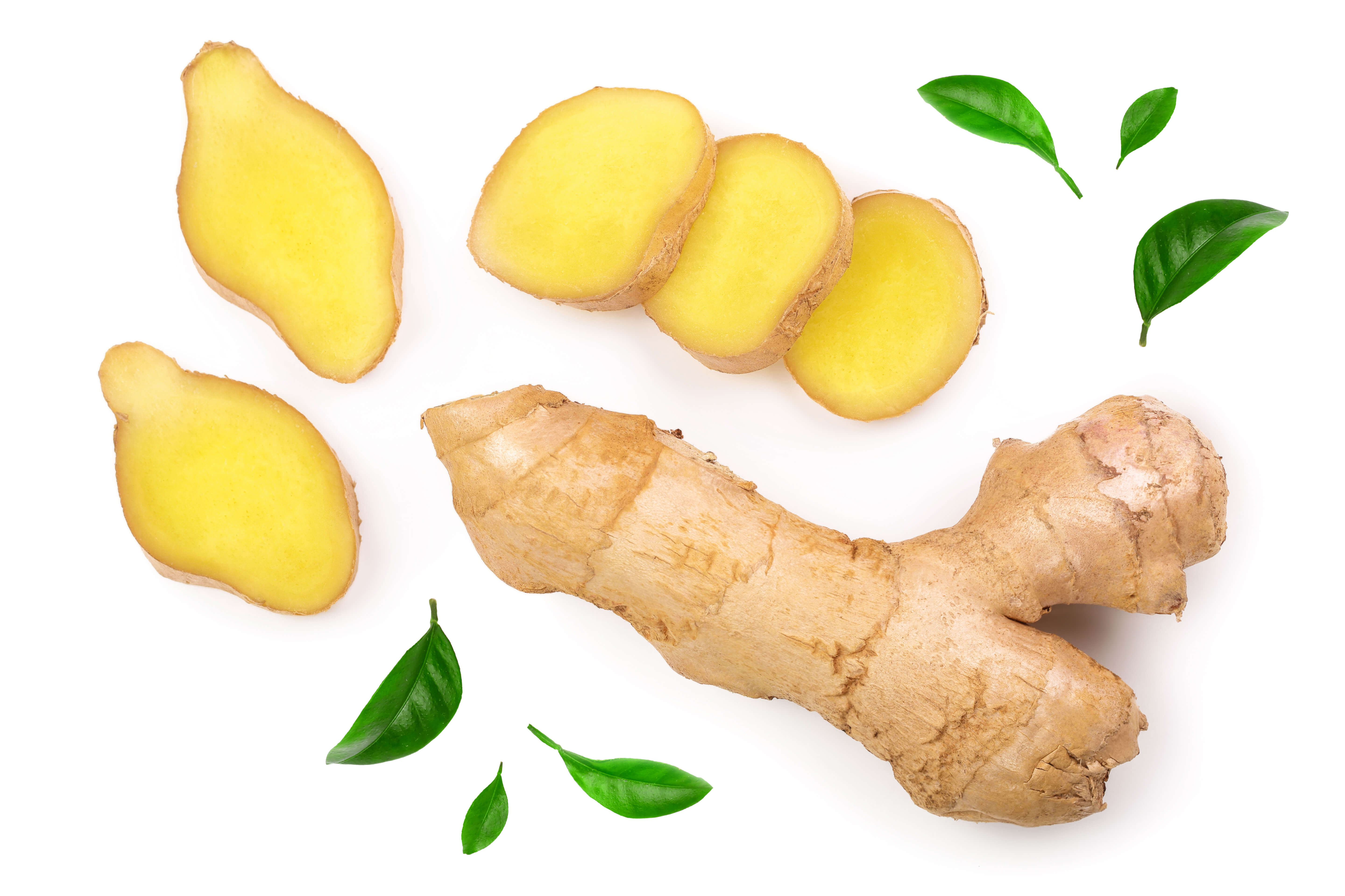 Natural Anti-Inflammatory Agents: Our Top 12 Choices for Dogs 5 ginger