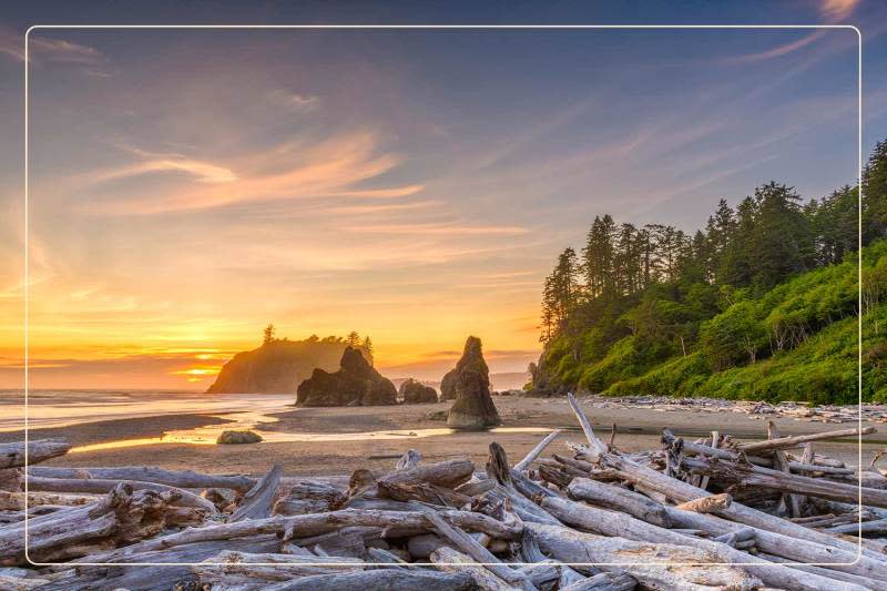 the sun sets at a beach piled with driftwood at Olympic National Park, a dog-friendly national park where one can go hiking with dogs