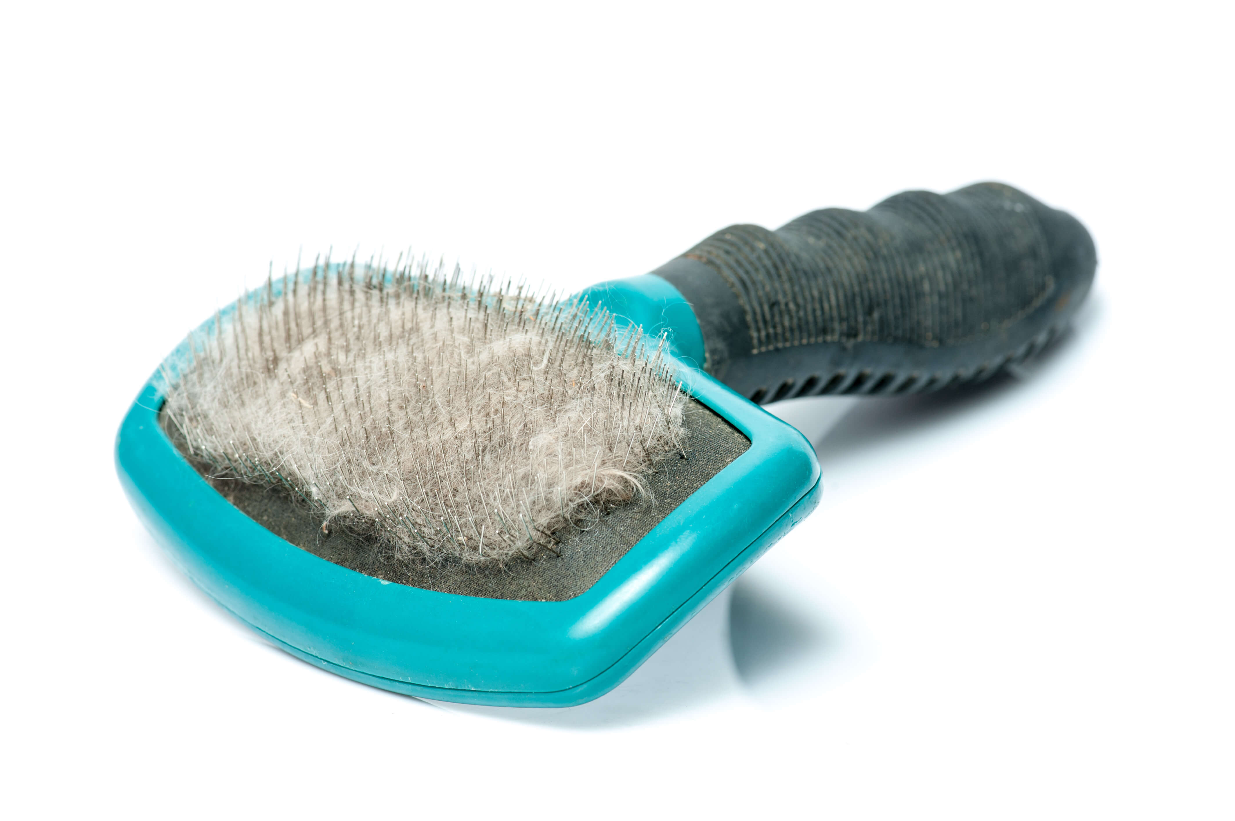Dog Shedding: How To Stop The Fur Frenzy 4 dog brush