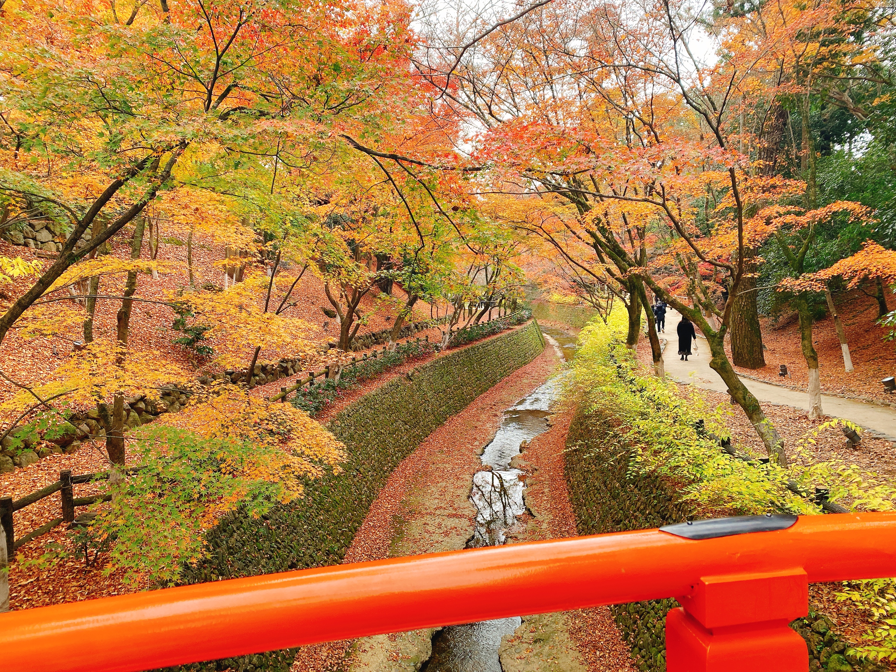 Green double couch with wooden legs