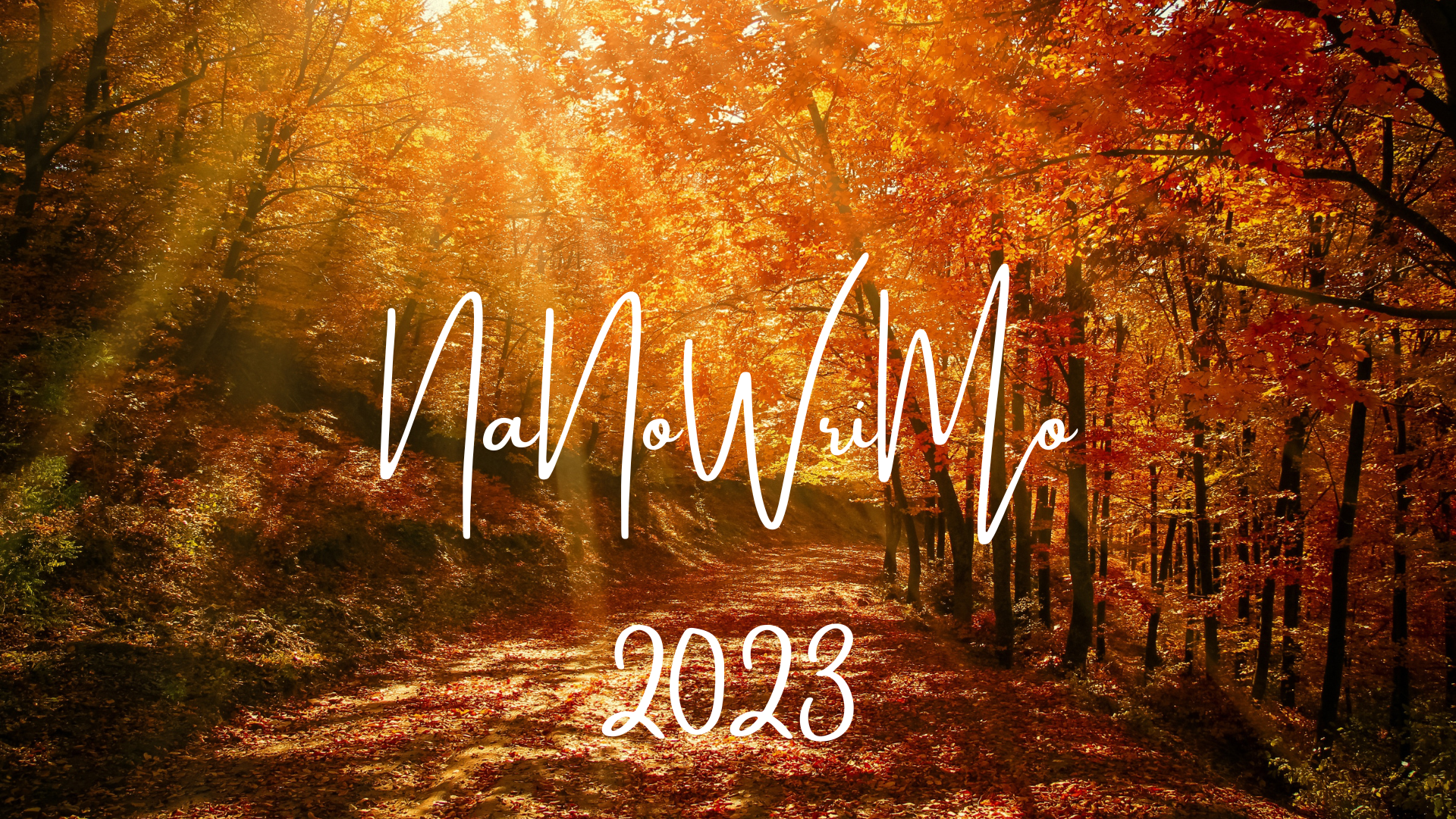 NaNoWriMo 2023