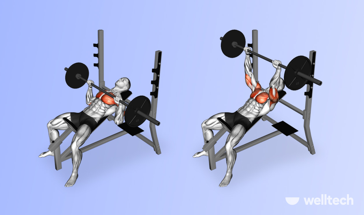 https://welltechdev.wpengine.com/wp-content/uploads/2022/10/bench-press_man-tits.jpg