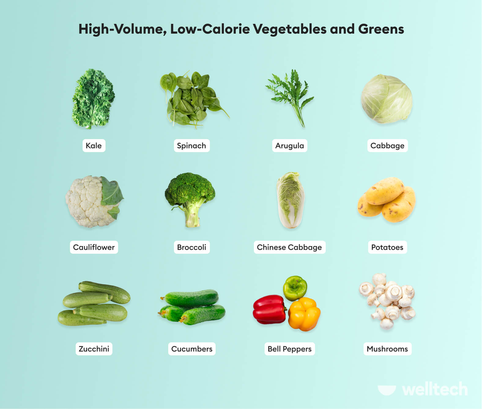 https://welltechdev.wpengine.com/wp-content/uploads/2023/03/high-volume-low-calorie-foods_vegetables-and-greens.jpg