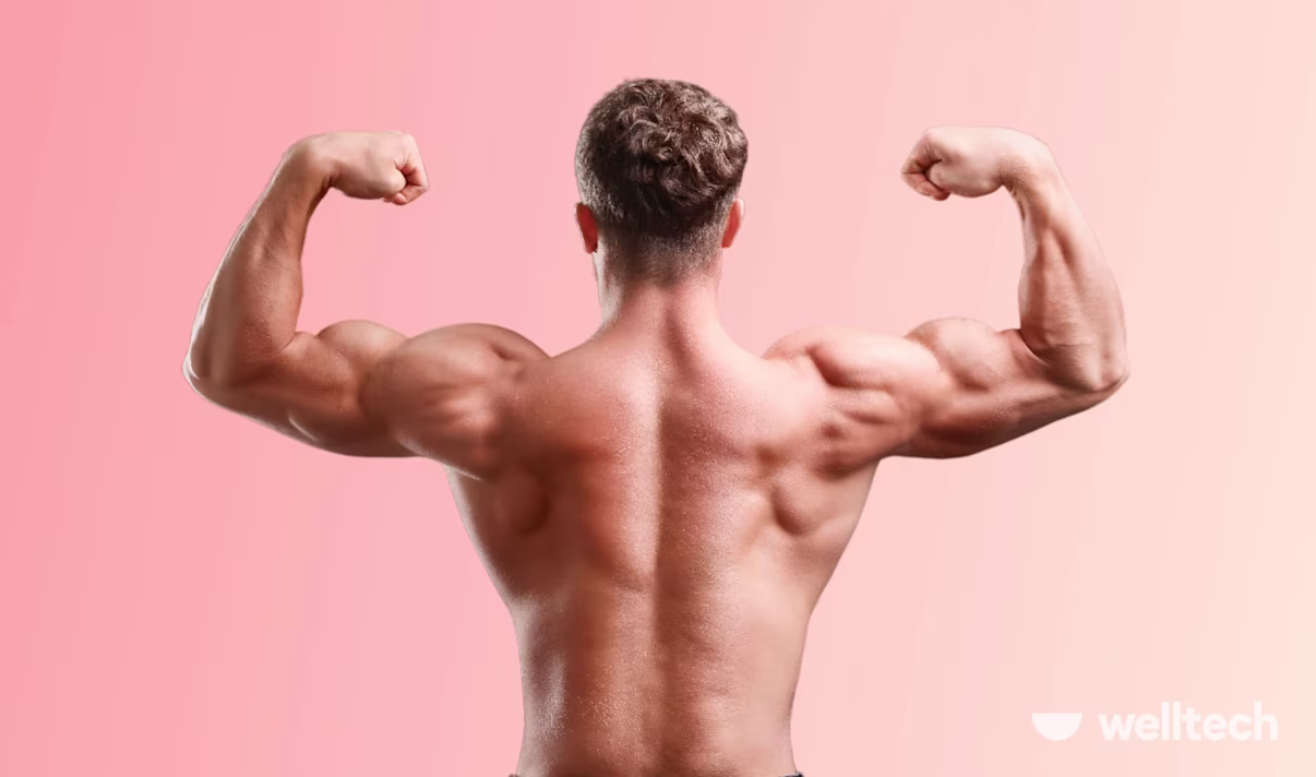 8 Back Exercises Without Weights: Effective No-Equipment Moves