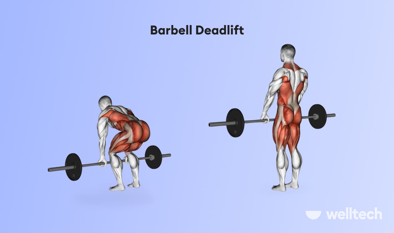 https://welltechdev.wpengine.com/wp-content/uploads/2023/02/Barbell-Deadlift_back-and-shoulder-workout.jpg