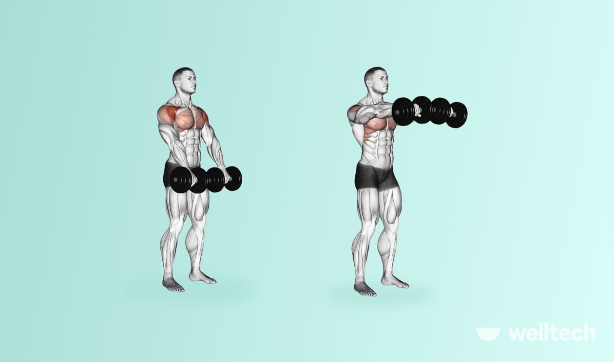 https://welltechdev.wpengine.com/wp-content/uploads/2022/11/7.-Dumbbell-Front-Raise_front-delt-exercises.jpg