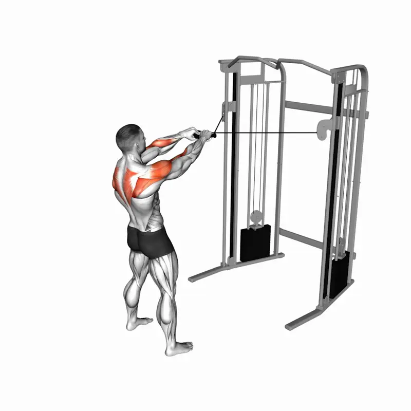 https://welltechdev.wpengine.com/wp-content/uploads/2023/06/cable-standing-face-pulls_side-delt-exercises.webp