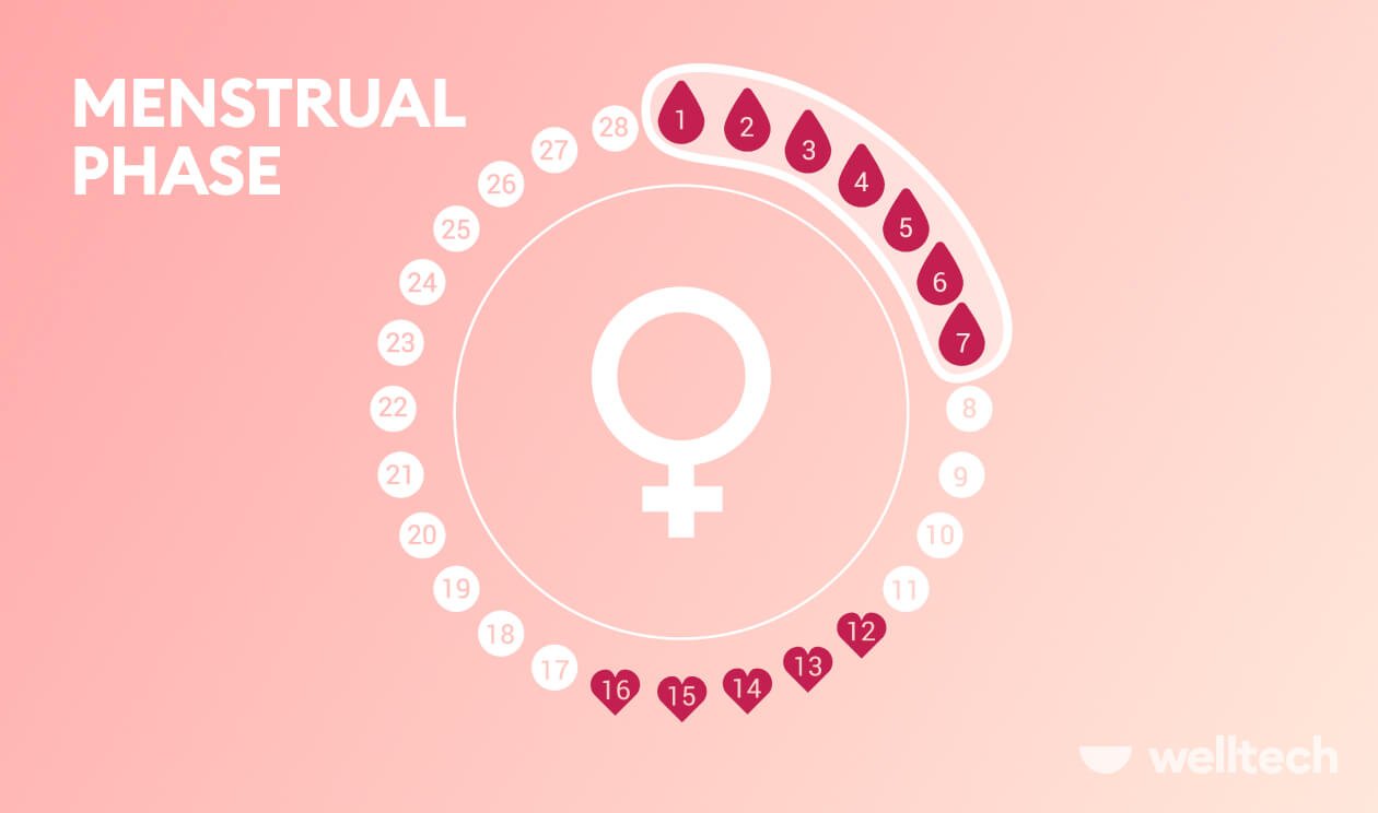 Menstrual Phase: Symptoms, Foods, And Workouts To Support Your Body
