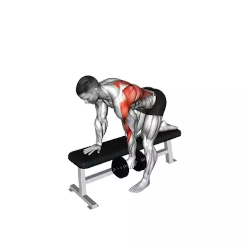 https://welltechdev.wpengine.com/wp-content/uploads/2023/10/5_Bent-over-row.webp