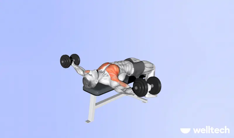 https://welltechdev.wpengine.com/wp-content/uploads/2023/09/dumbbell_chest_fly_push-workouts.webp