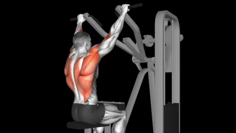 Lat pulldowns v-taper