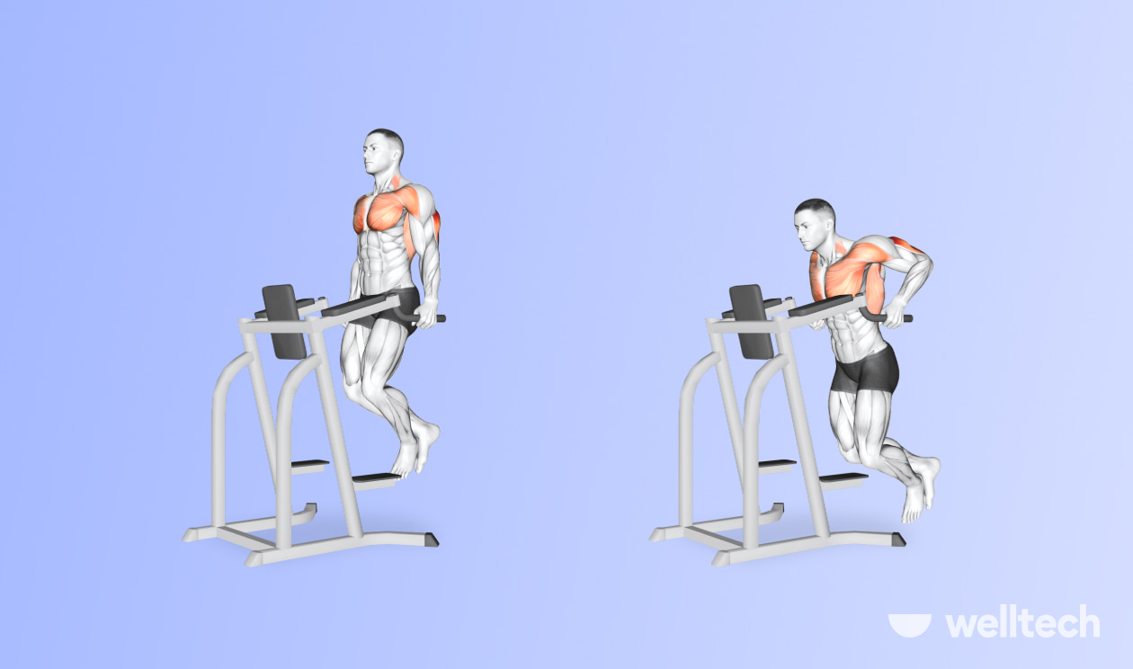https://welltechdev.wpengine.com/wp-content/uploads/2022/09/triceps-dips_what-muscles-do-dips-work.jpg