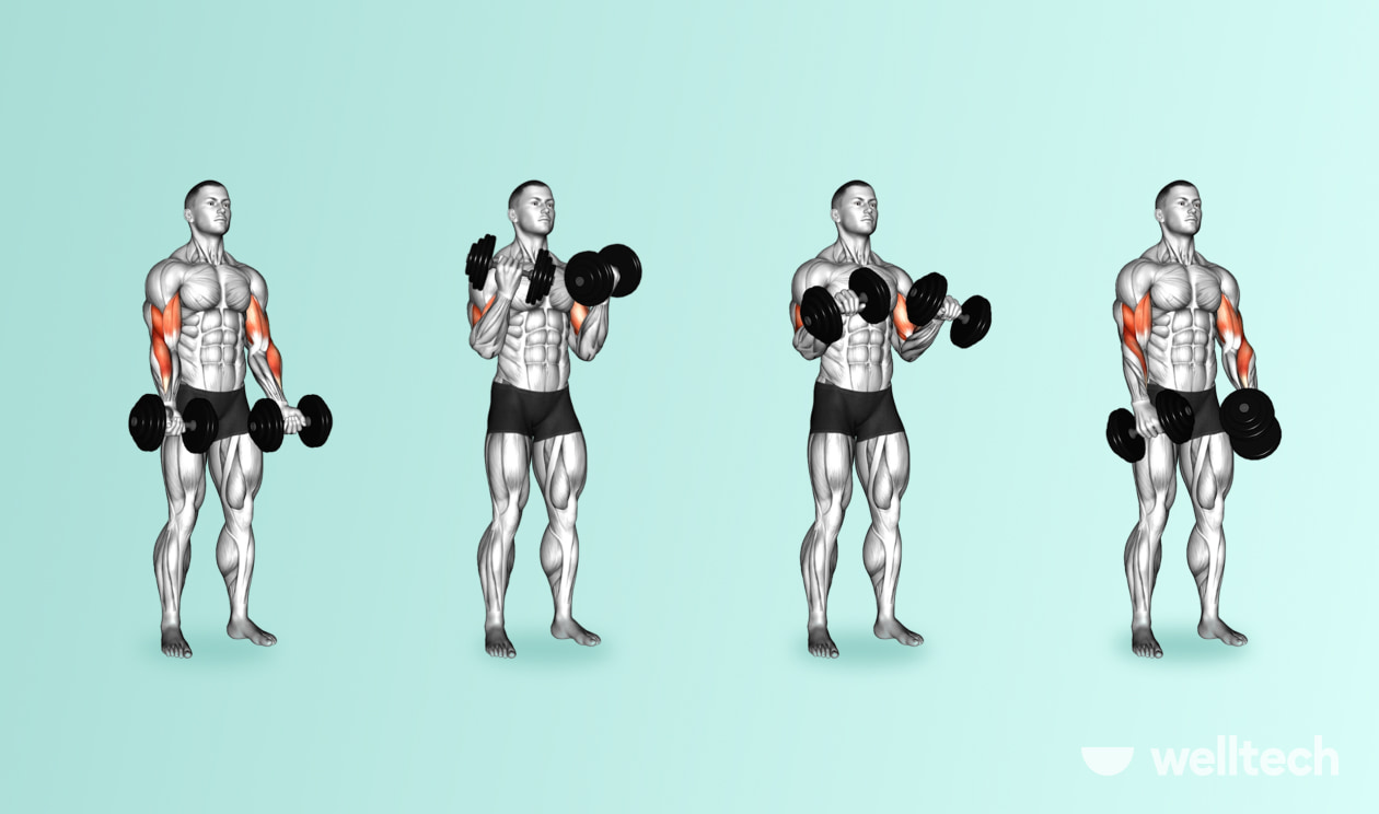 https://welltechdev.wpengine.com/wp-content/uploads/2022/09/Zottman-Bicep-Curls_chest-and-bicep-workout.jpg