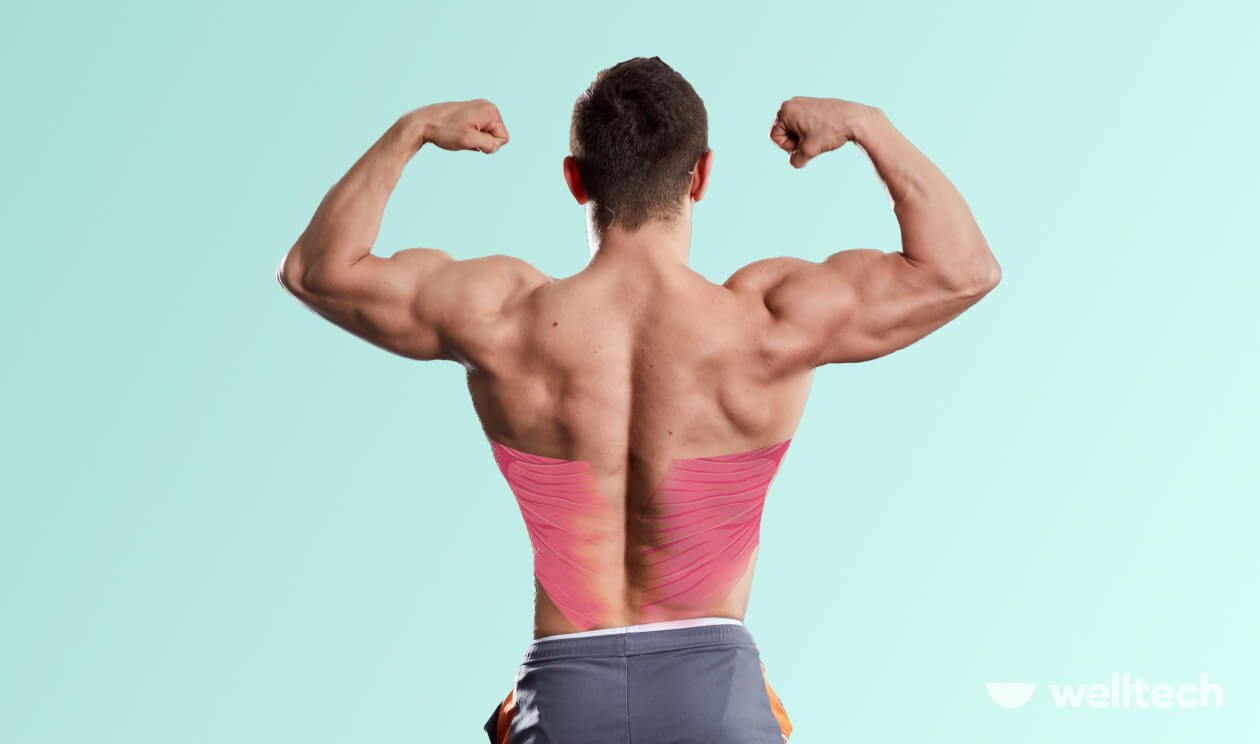 Best Home Lat Exercises [Dumbbells, Resistance Bands & Bodyweight]