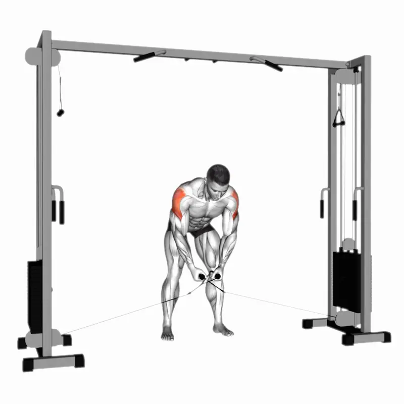 https://welltechdev.wpengine.com/wp-content/uploads/2023/04/cable-rear-delt-fly_bent-over_reverse-fly.webp