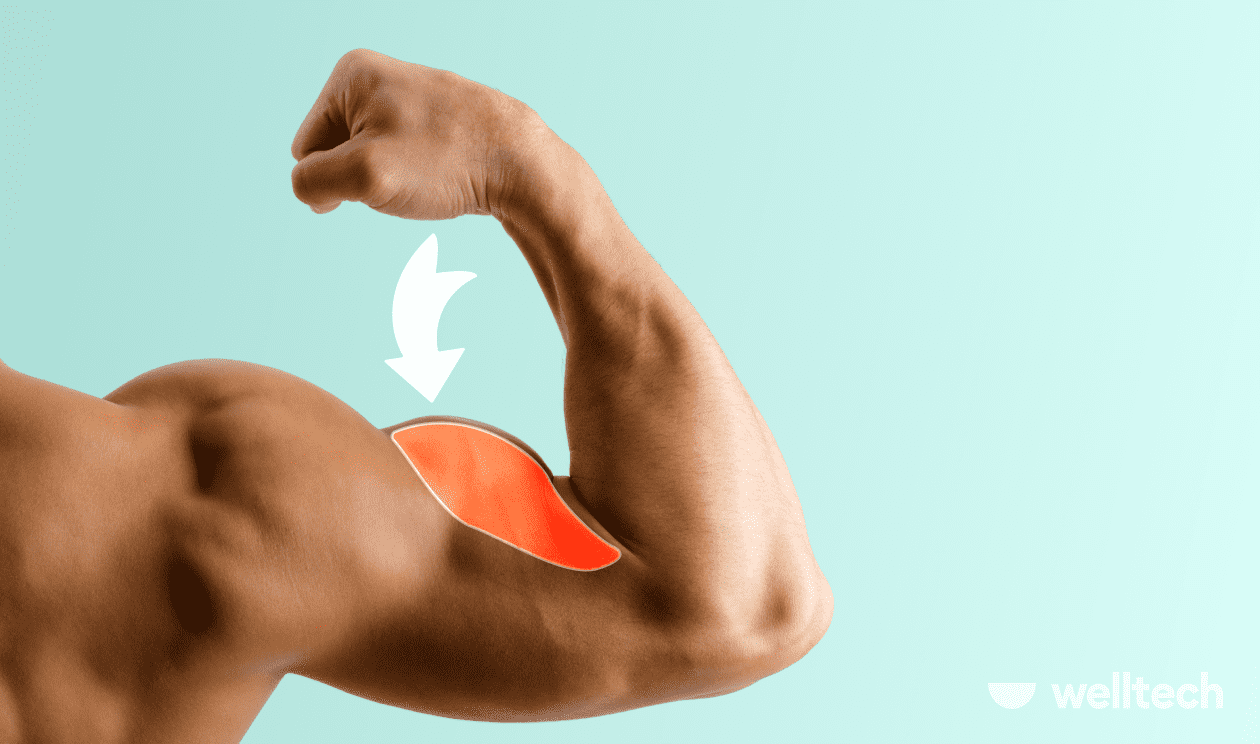 8 Long Head Bicep Exercises For Thicker Arms