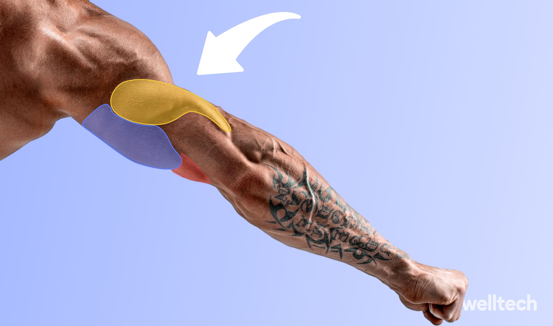 7 Lateral Head Triceps Exercises [At-Home Workout]