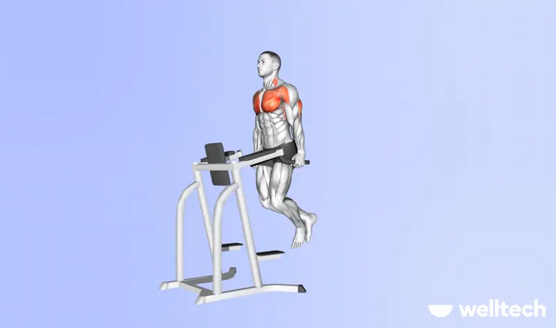 https://welltechdev.wpengine.com/wp-content/uploads/2023/09/chest_dips_push-workouts.webp