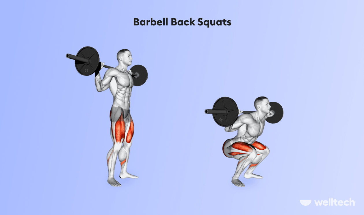 https://welltechdev.wpengine.com/wp-content/uploads/2022/08/5_Barbell_Back_Squats-min.png