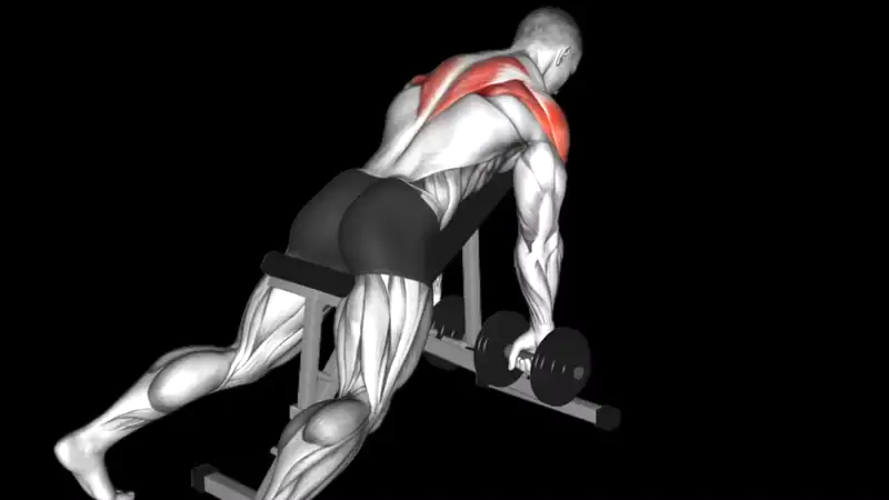 Incline Bench Row v-taper