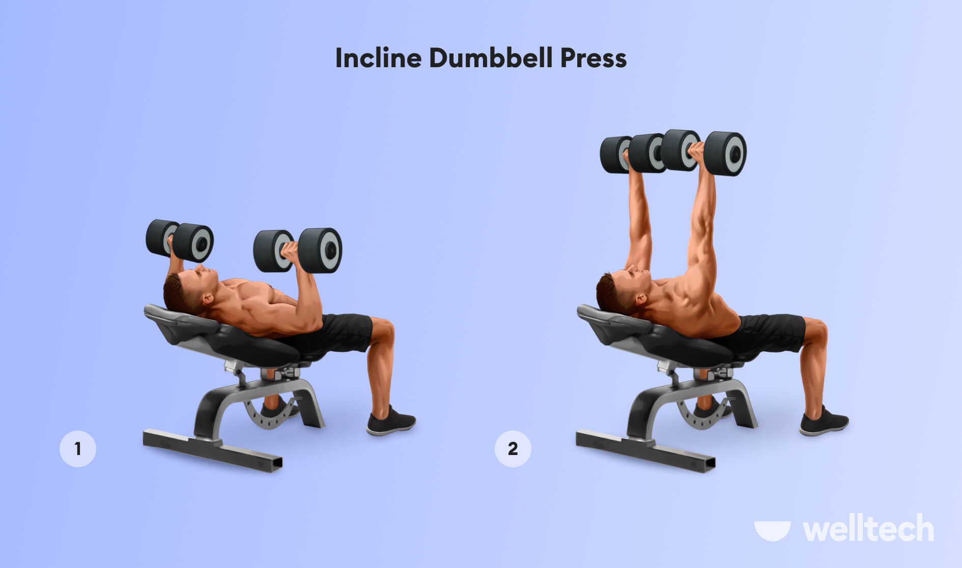 https://welltechdev.wpengine.com/wp-content/uploads/2022/12/Incline-Dumbbell-Press_inner-chest-workout.jpg