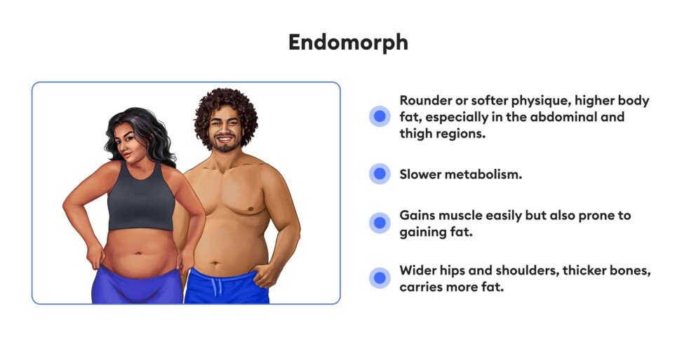 https://welltechdev.wpengine.com/wp-content/uploads/2023/11/Endomorph_intermittent-fasting-by-body-type-992x494.jpg