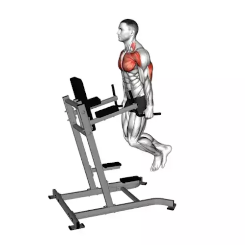 https://welltechdev.wpengine.com/wp-content/uploads/2023/10/2_Triceps-Dips.webp